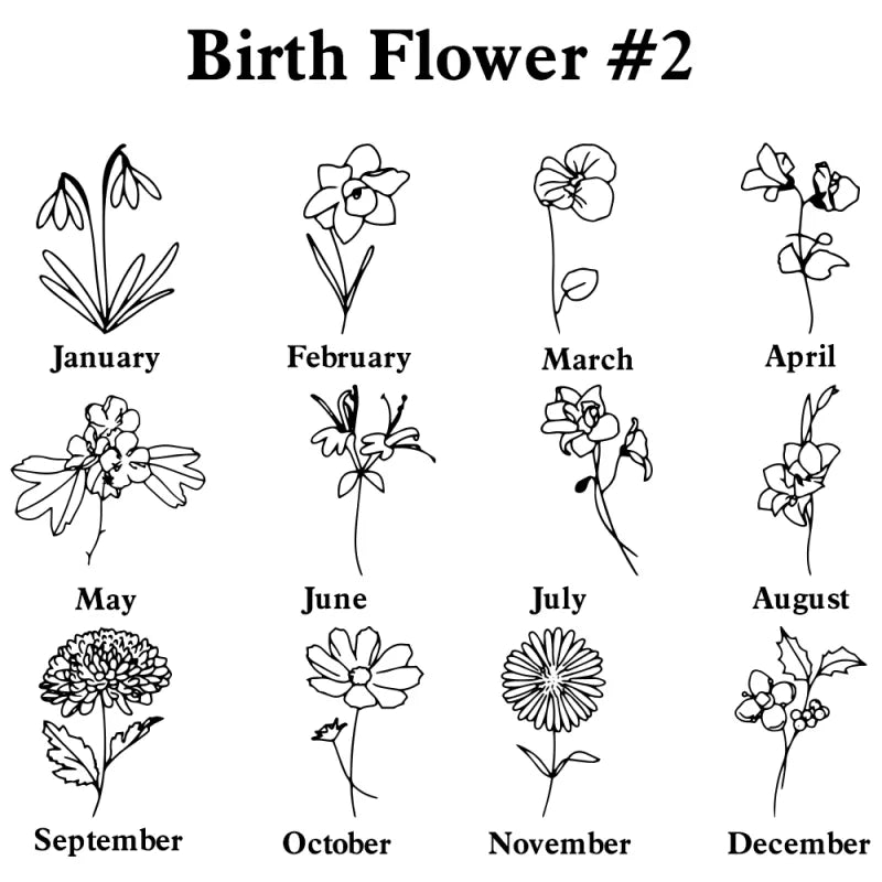 Illustrations of flowers corresponding to each month of the year on a white background.