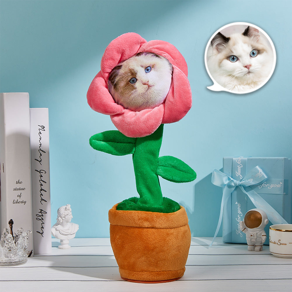 Personalised Photo Dancing & Musical Plant