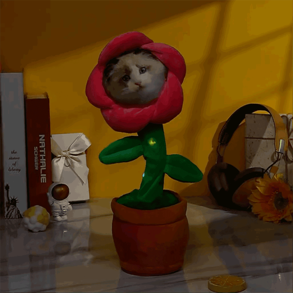 Personalised Photo Dancing & Musical Plant