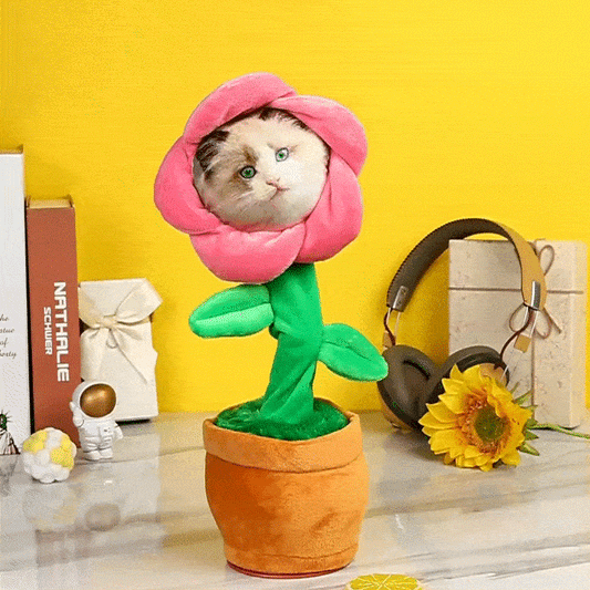 Personalised Photo Dancing & Musical Plant